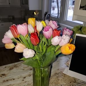 Meet your Posher, Tracy